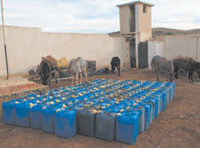 Souk Ahras / 115 personnes arrêtées                                    Contrebande tous azimuts