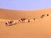 Raconte-moi un conte de Timimoun Hawa