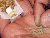 Bilan d'une année de sensibilisation                                    Drogue : la Forem tire la sonnette d'alarme