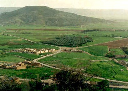 الجبال التلية