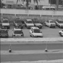 مدير النقل بميلة تغرق في الفوضى وغياب تام للطاقم الإداري