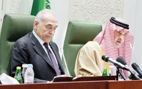 السعودية ومصر تأييدان 