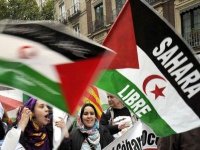 Le Front Polisario réitère sa disposition à coopérer avec l'ONU pour parachever la décolonisation du Sahara occidental