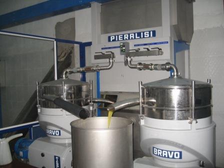 Une huilerie moderne entre en production à Draa Kébila