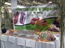 نحو 300 مشارك منتظر في الصالون الدولي الثاني للتمور والسياحة الواحاتية                                    ستحتضنه بسكرة من 12 إلى 15 جانفي الجاري