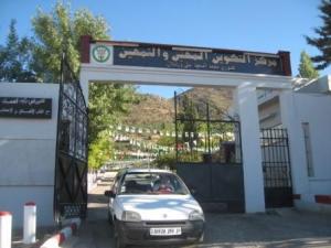 Formation professionnelle, ouverture des inscriptions au titre de la session de février 2013