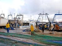 2013, année de la relance  du secteur de la pêche et de l'aquaculture (Ferroukhi)