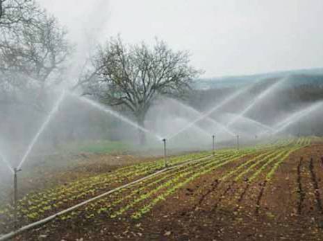 « La sécurisation passe par une mobilisation optimale de nos ressources en eau »                                    Le ministre des ressources en eau à Mila