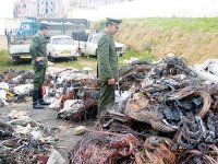 Un plan d'urgence pour mettre fin aux coupures électriques                                    En plus de la lutte contre le vol de câbles à Sidi bel Abbès