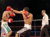 World Series of Boxing : les 