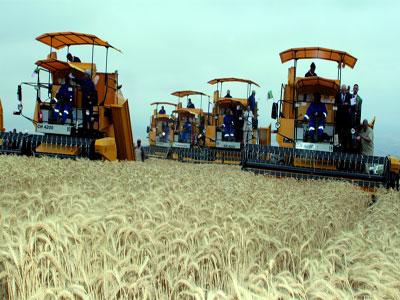 Les contrats de performance donnent des résultats mais...                                    Instaurés depuis 2009