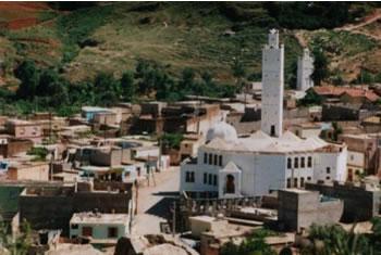 Les Béni Snous perpétuent Ayred                                    CARNAVAL À TLEMCEN
