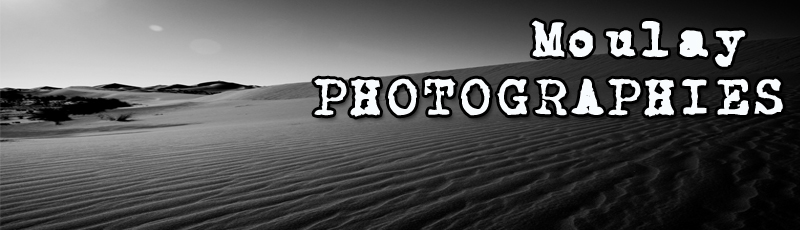 MOULAY2011