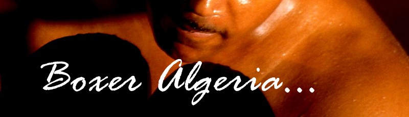boxeralgeria