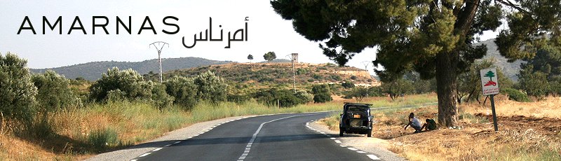 Algérie - Amarnas