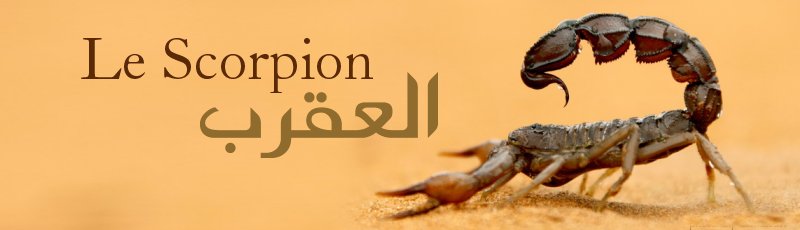 Tiaret - Piqure de Scorpion