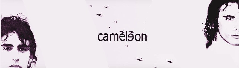 Algérie - Caméléon