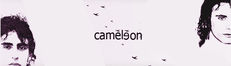 الجزائر-العاصمة - Caméléon