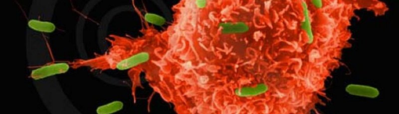 Batna - Divers Cancers