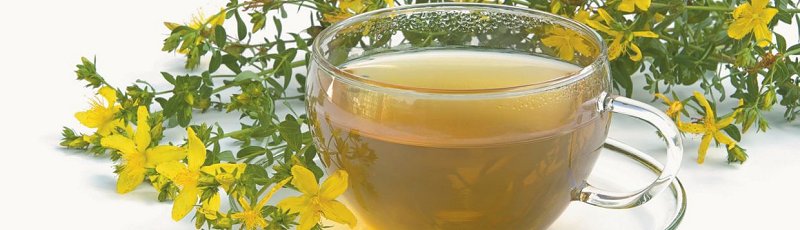 Batna - Herboristes, phytothérapie