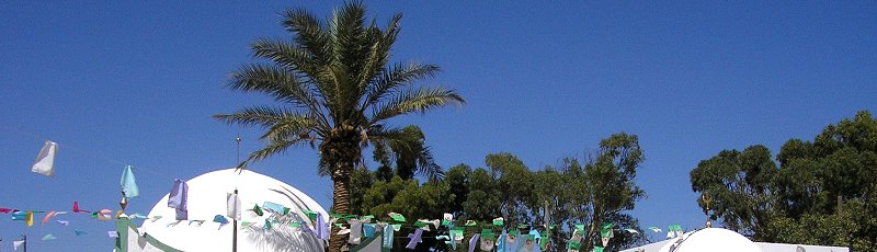 Algérie - Festival de Sidi Lakhdar Benkhelouf
