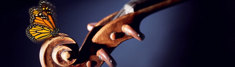 تيزي وزو - Mouloud Ounnoughene