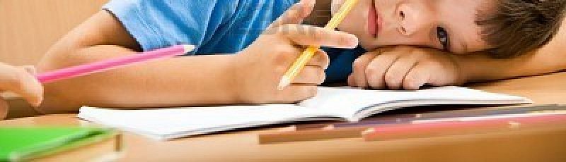 النعامة - Examen de 6ème (5ème année primaire)