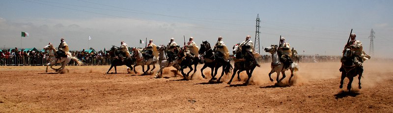 Tiaret - Festival et Salon du Cheval de Tiaret