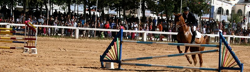 Tiaret - Centre Equestre Emir Abdelkader	(Commune de Tiaret, Wilaya de Tiaret)