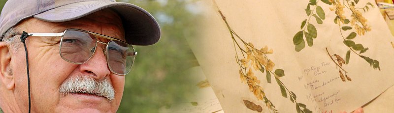 تلمسان - Kazi Tani Omar