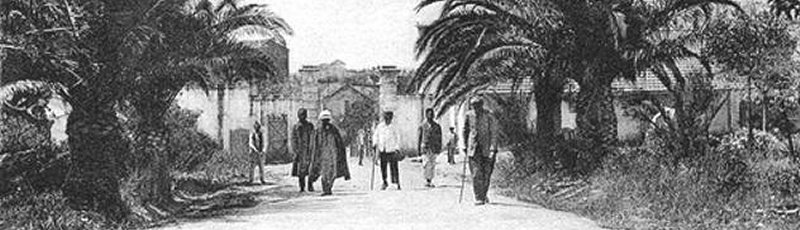 Algérie - Association nationale des grands invalides de la guerre de Libération