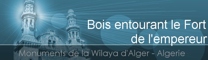 Alger - Bois entourant le Fort de l'empereur	(Commune d'El Biar Centre, Wilaya d'Alger)