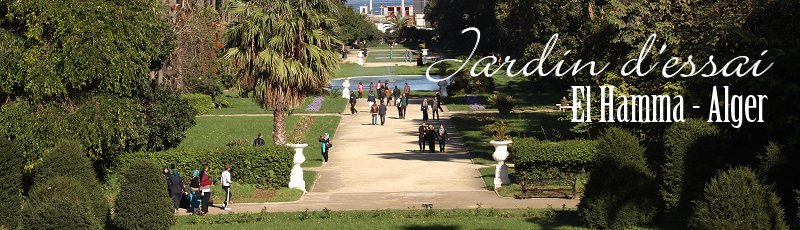 الجزائر العاصمة - Jardin d'Essai du Hamma, Alger
