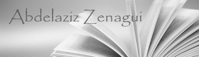 Tlemcen - Abdelaziz Zenagui