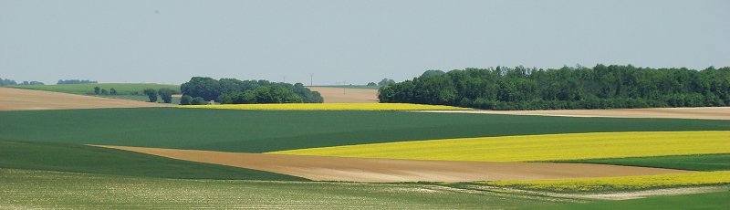 Tizi-Ouzou - DSA : Directions des Services Agricoles