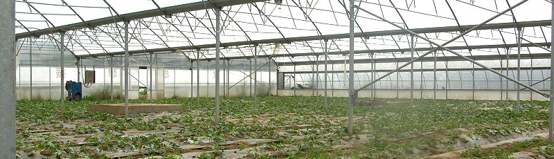 الجزائر - FNRPA : Le Fonds National de Régulation de la Production Agricole