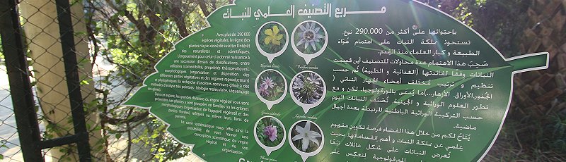 Alger - Institut de formation de techniciens en agriculture, Ecole d'Horticulture, Hamma, Alger