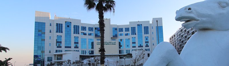 الجزائر العاصمة - INSM : Institut National Supérieur de Musique