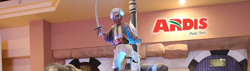 تيزي وزو - ARDIS