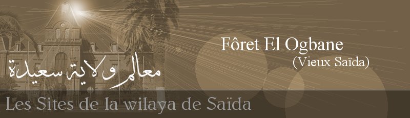 Saida - Fôret El Ogbane (Vieux Saïda)