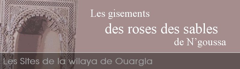 الجزائر - Les gisements des roses des sables de N’goussa (W. Ouargla)