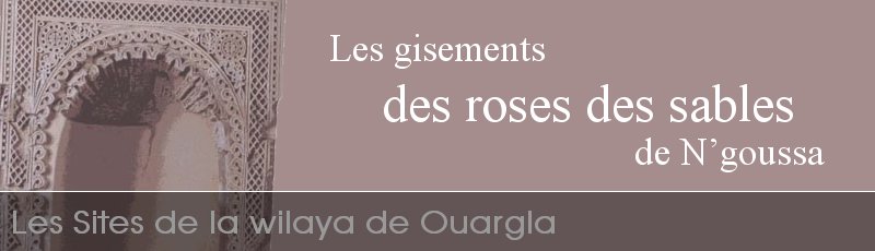 ورقلة - Gisements des roses des sables	(Commune de N’goussa, Wilaya de Ouargla)