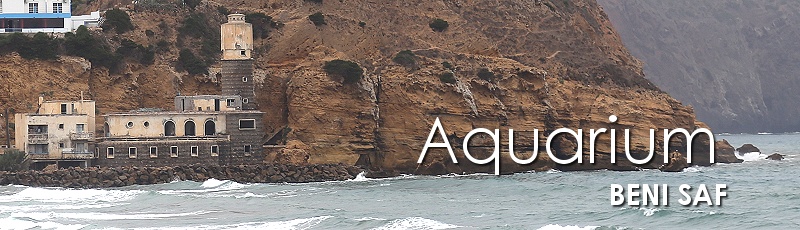Algérie - Aquarium	(Commune de Beni Saf, Wilaya de Ain Temouchent)
