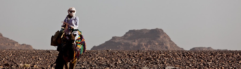تمنراست - Tassili Immidir, Tamanrasset