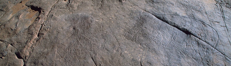 illizi - Gravures rupestres de l'Oued Afar (Wilaya Illizi)