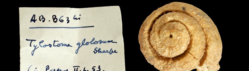 Ghardaia - Musée Public National D’El Menia