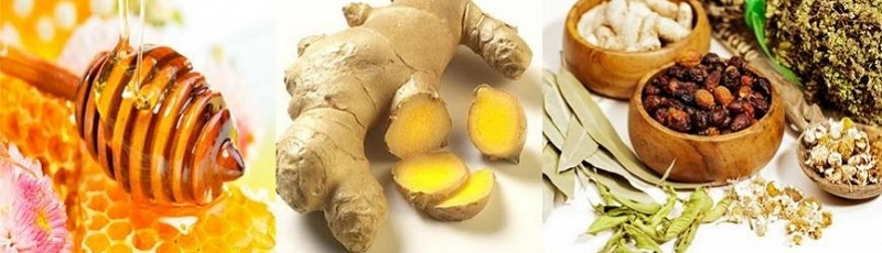 Tizi-Ouzou - Médecine prophétique et science légiférée : Le traitement complémentaire et les avantages de la phyt