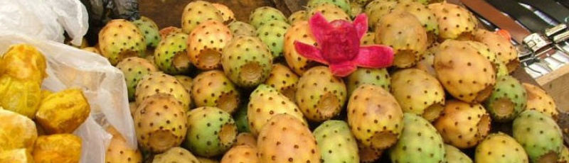 Tizi-Ouzou - Fête de la figue de Barbarie à Sahel (Bouzeguene, Wilaya de Tizi Ouzou)