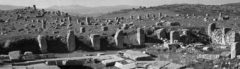 Médéa - Rapidum, site archéologique 	(Commune de Djouab, Wilaya de Médéa)