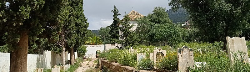 تلمسان - Cimetière et Mausolée de Sidi Senouci	(Commune de Tlemcen, Wilaya de Tlemcen)
